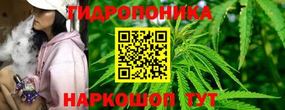 бошки Балахна