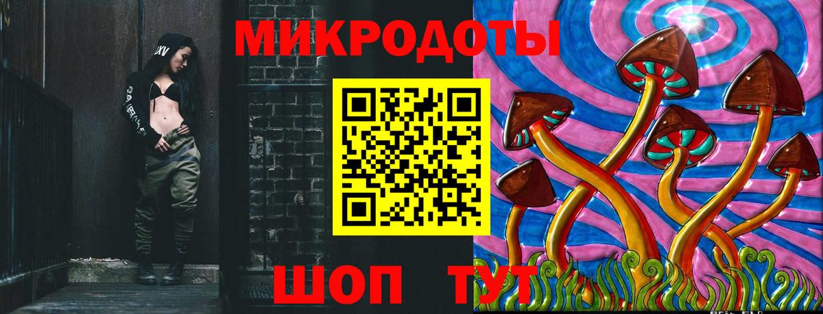 Псилоцибиновые грибы Cubensis Джанкой